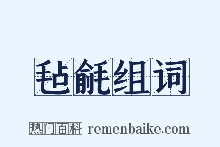 毡毹组词是什么意思的图片